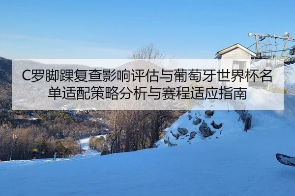 luo-jiao-huai-fu-cha-ying-xiang-ping-gu-yu-pu-tao-ya-shi-jie-bei-ming-dan-shi-pei-ce-lve-fen-xi-yu-sai-cheng-shi-ying-1-595.jpg